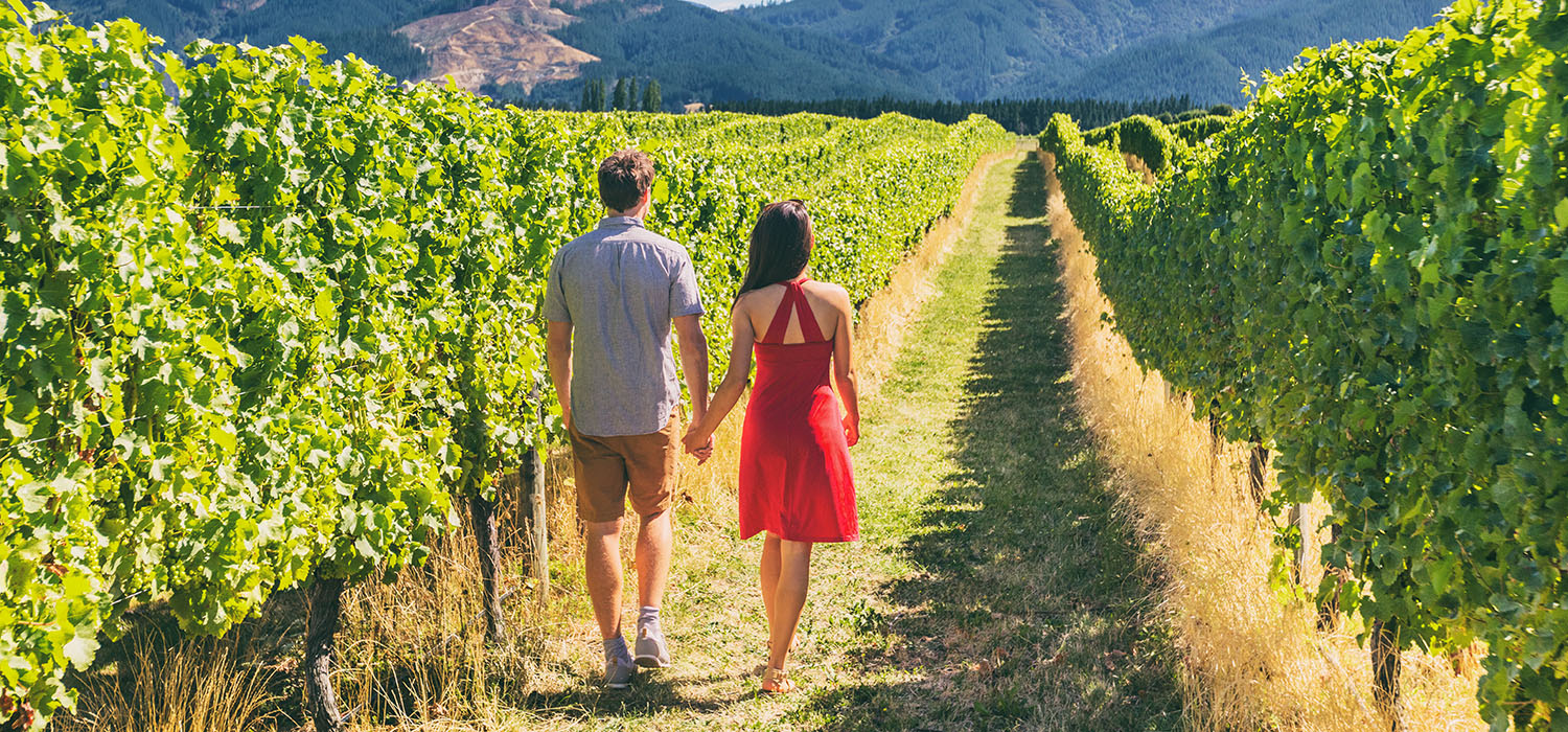 Exciting Activities to Do  in Napa
