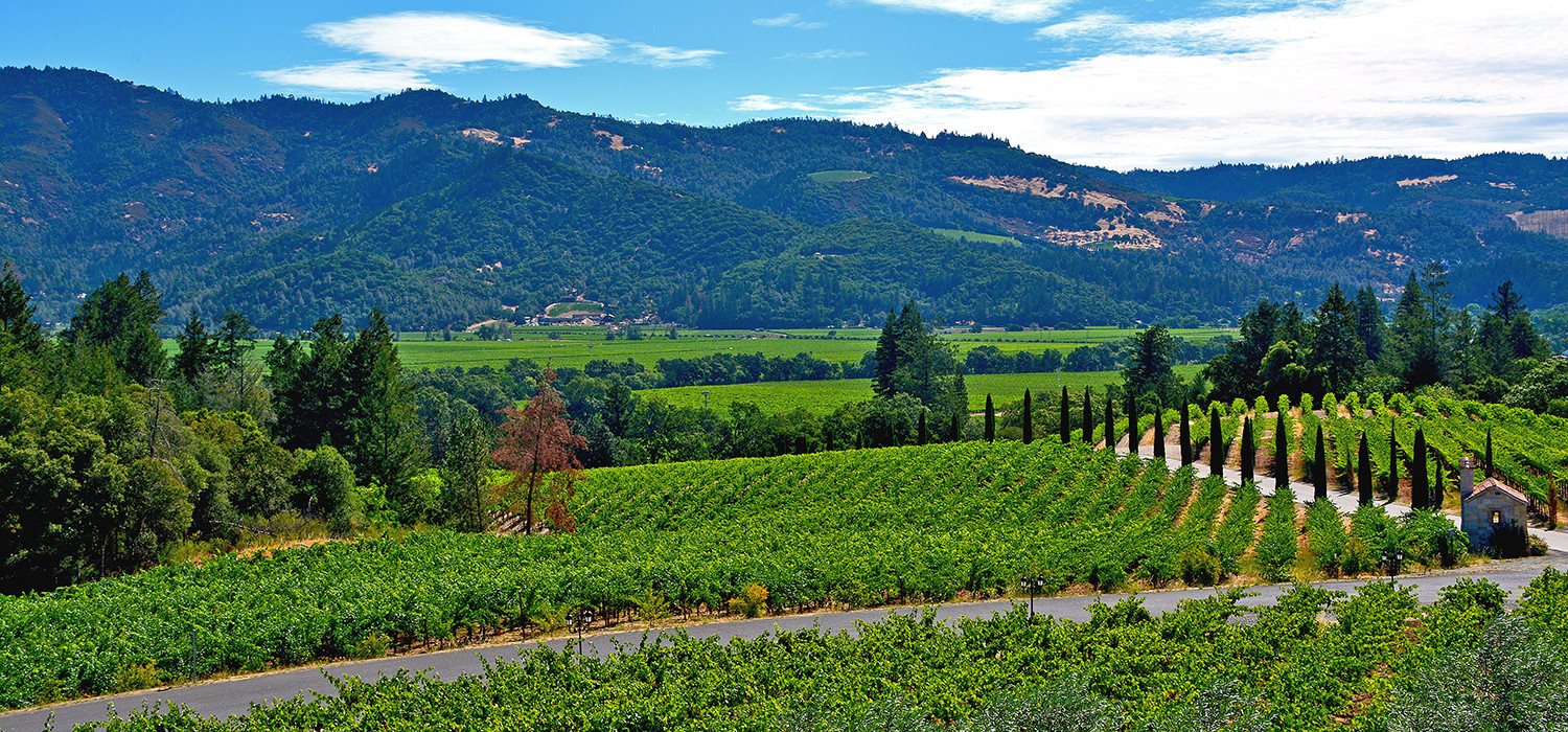 Must-see Attractions for Your Napa, CA Itinerary