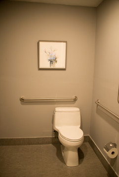 ADA Room - Accessible Bathroom