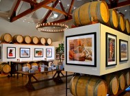 Active Wine Adventures Art & Wine Tour